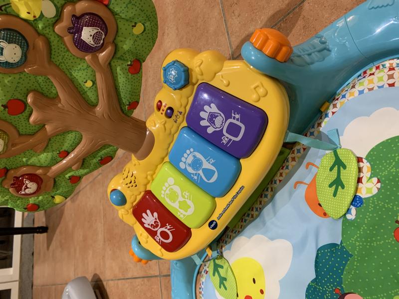 Tapis d éveil Jardin enchanté des P tits copains VTECH Avis et