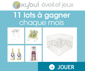 Jeu Oxybul