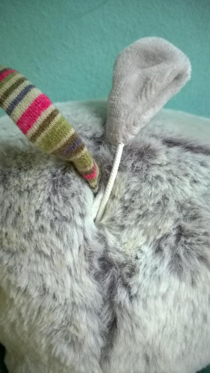 chat musical les pachats