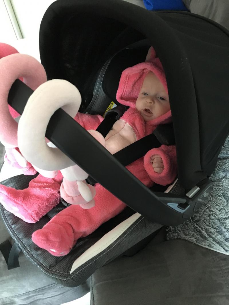 coque peg perego primo viaggio