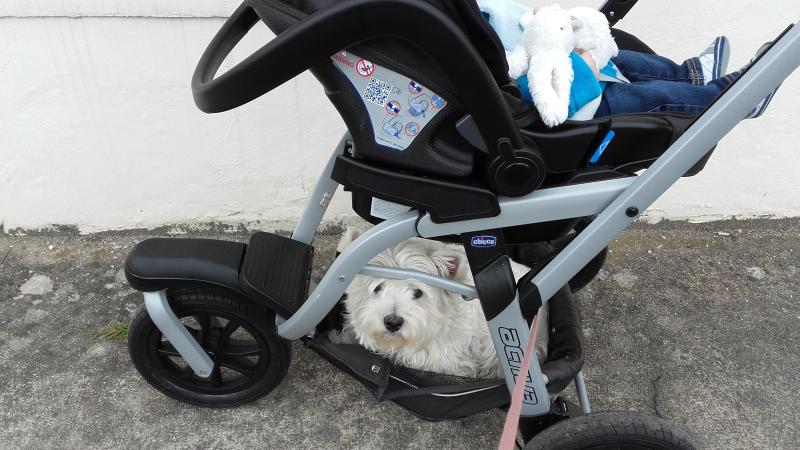 poussette trio s3 chicco