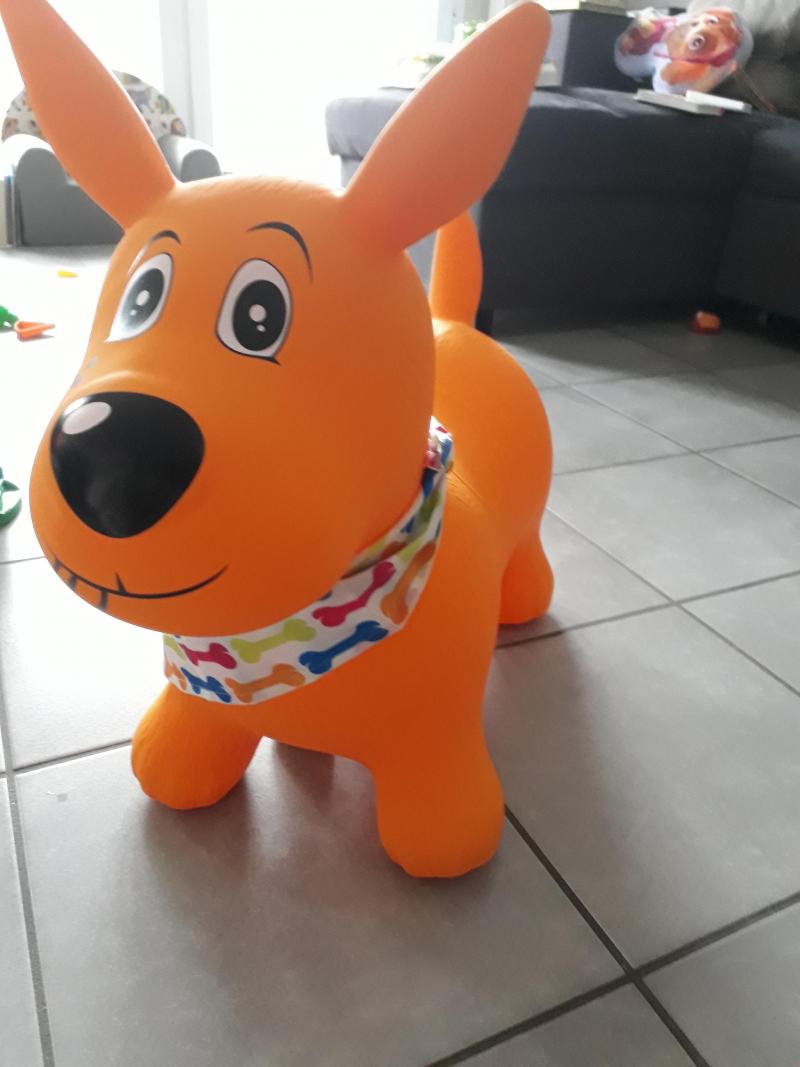 Mon Chien Sauteur Ludi Avis Et Comparateur De Prix