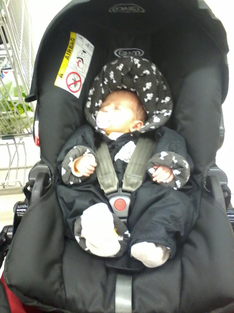 coquille bébé graco