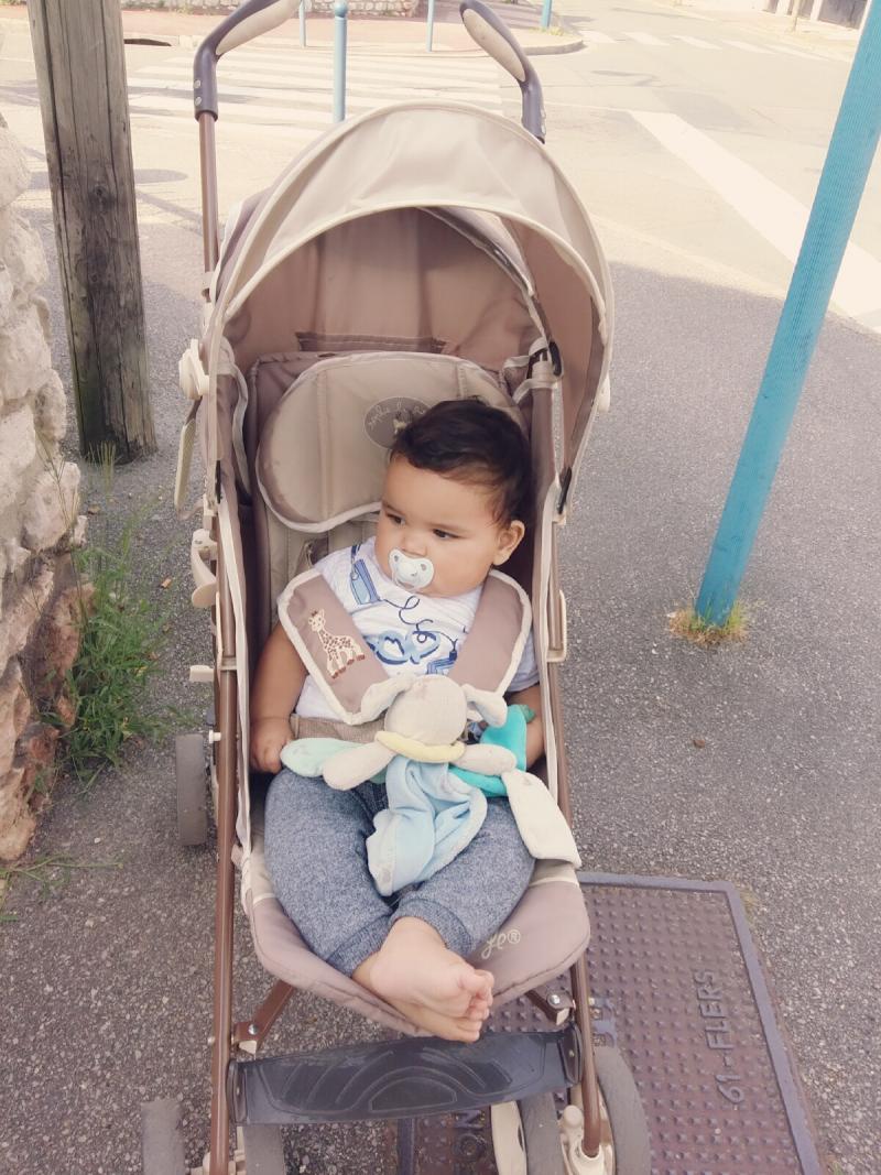 poussette canne renolux