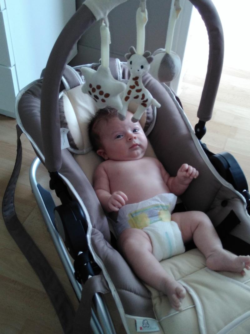 Transat Sophie La Girafe Renolux Avis Page 4