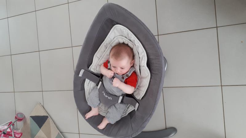 transat nuna leaf curv