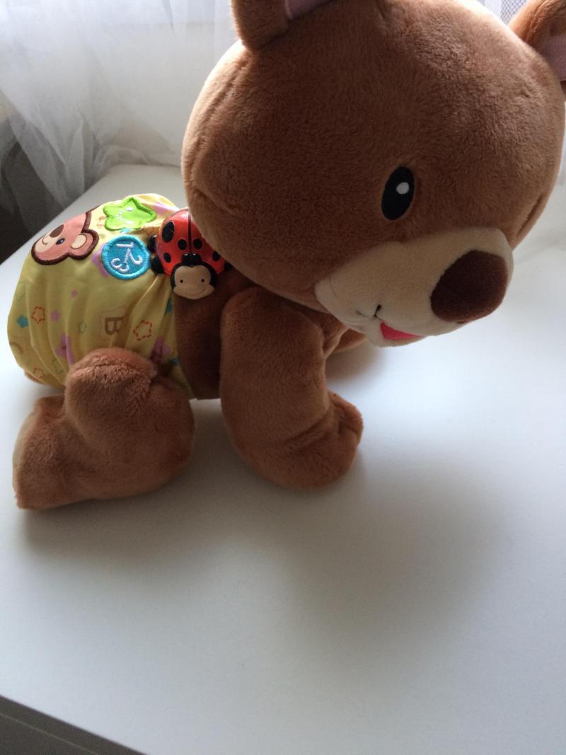 Nounours 4 Pattes 2024 www tofrei
