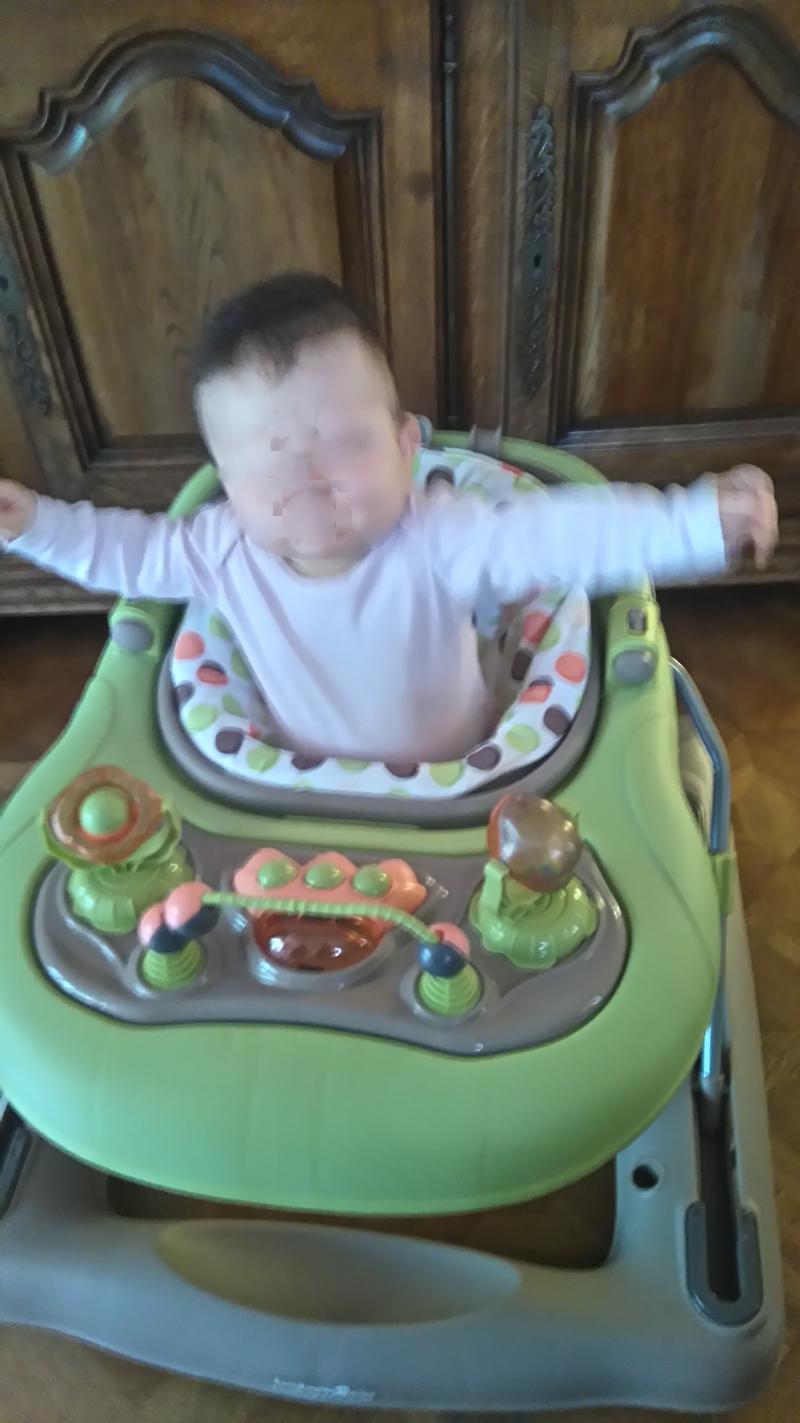 babymoov trotteur 2 en 1 taupe et amande