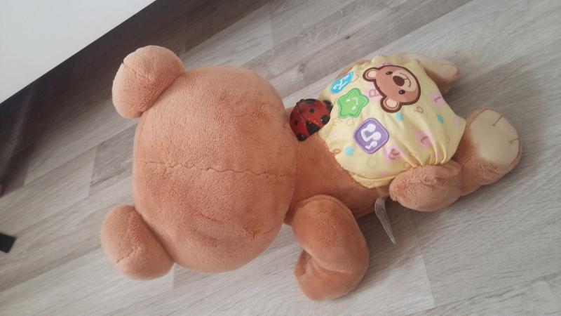 ourson marche a 4 pattes