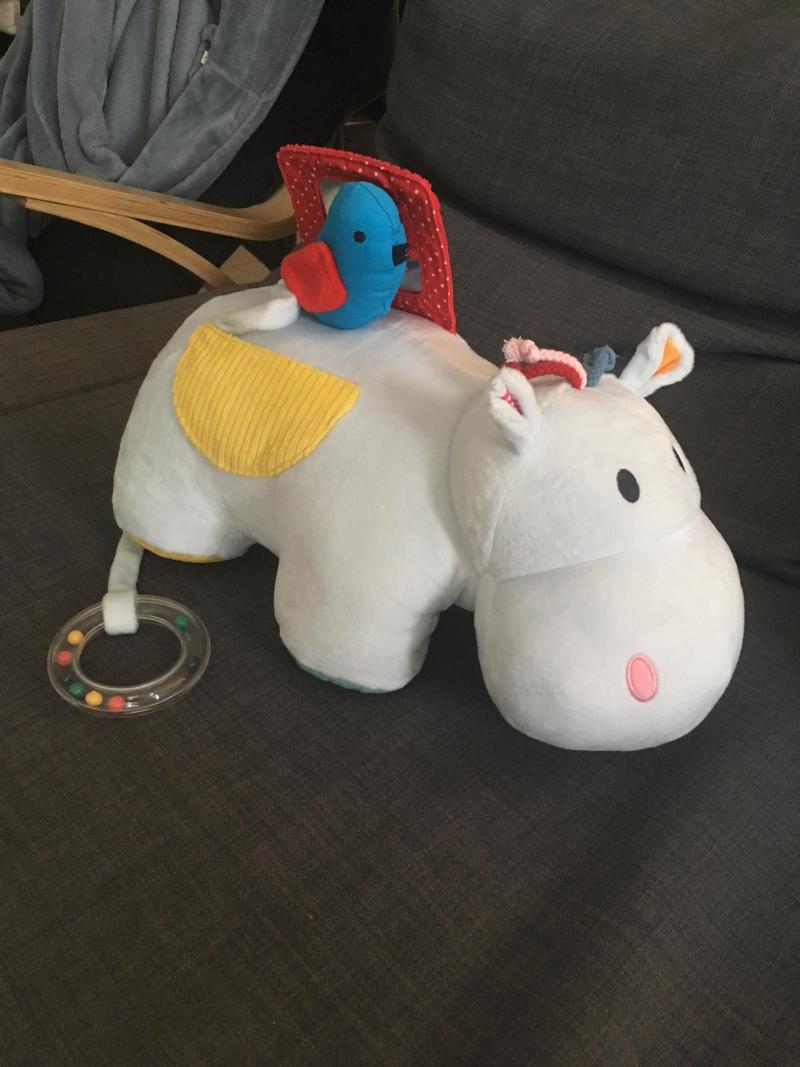 hippopotame oxybul
