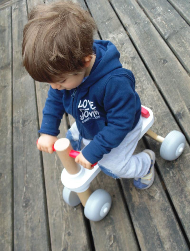 porteur bois trotibul
