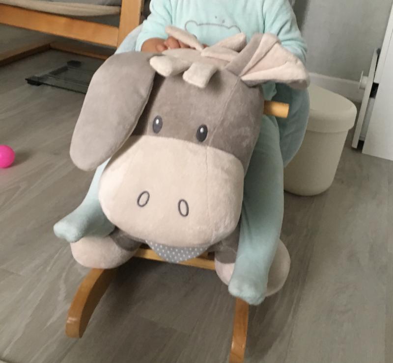 animaux a bascule babygo