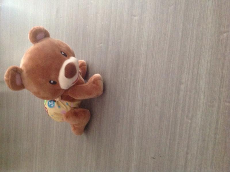 ourson marche a 4 pattes