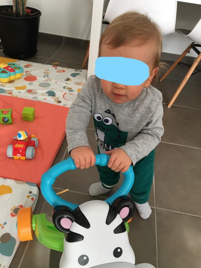 trotteur zebre parlant fisher price avis