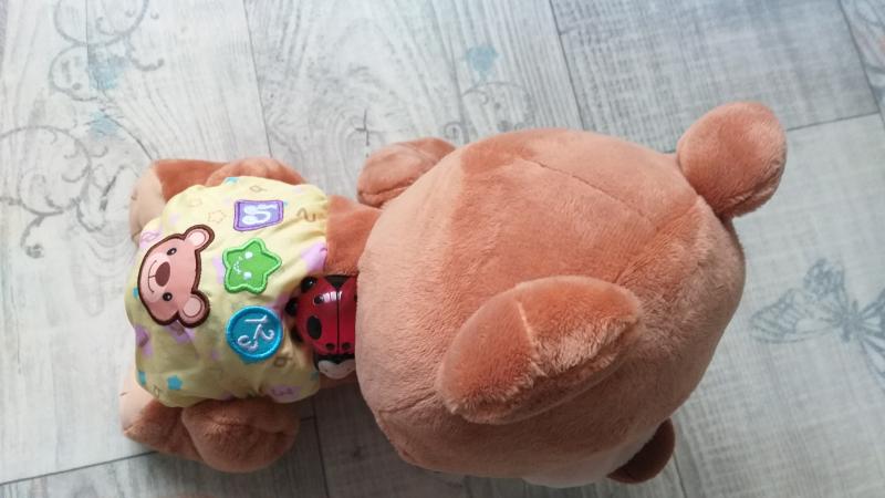 ourson marche a 4 pattes