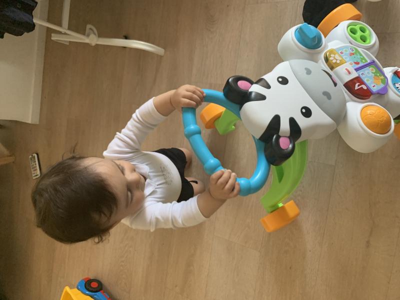 trotteur zebre parlant fisher price avis