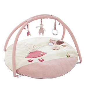 Tapis D Eveil Myrtille Et Capucine Moulin Roty Comparateur Avis Prix