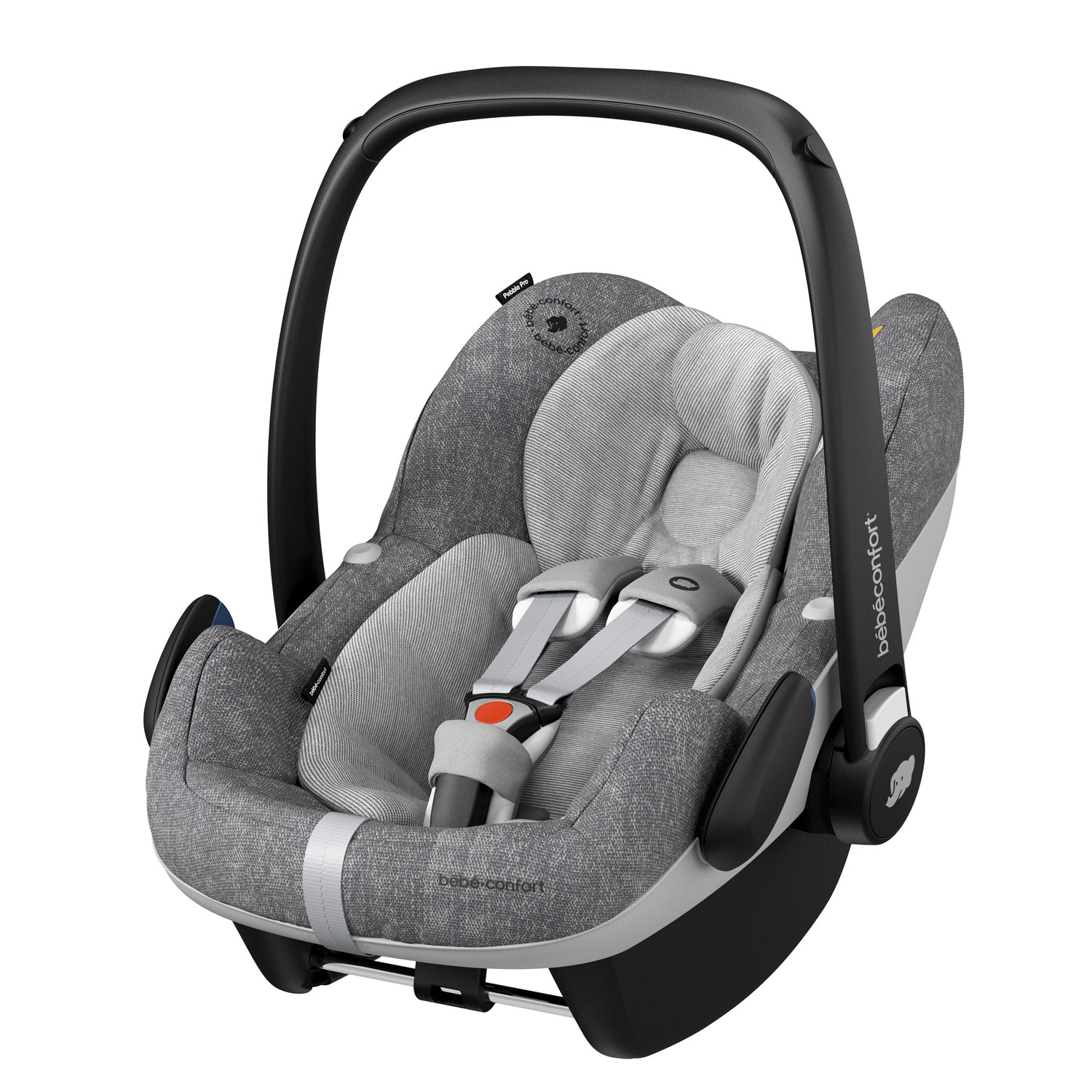 siege auto age maxi