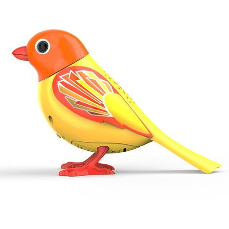 Oiseau Qui Chante Digibird Spin Master Avis Et Comparateur