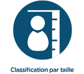 Classification isize par taille